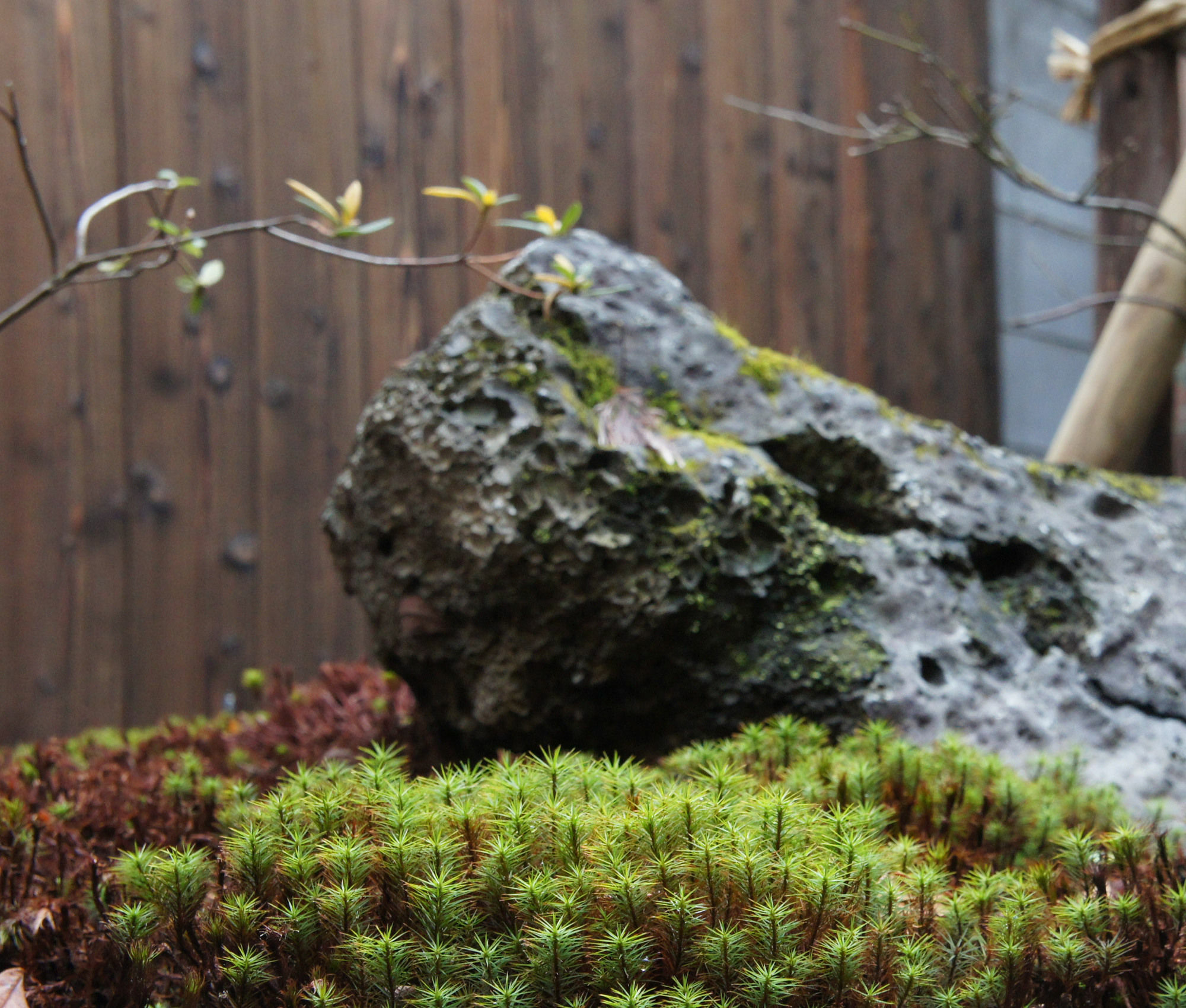 Korakuan Villa Kyoto Luaran gambar